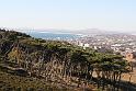 CapeTown (121)